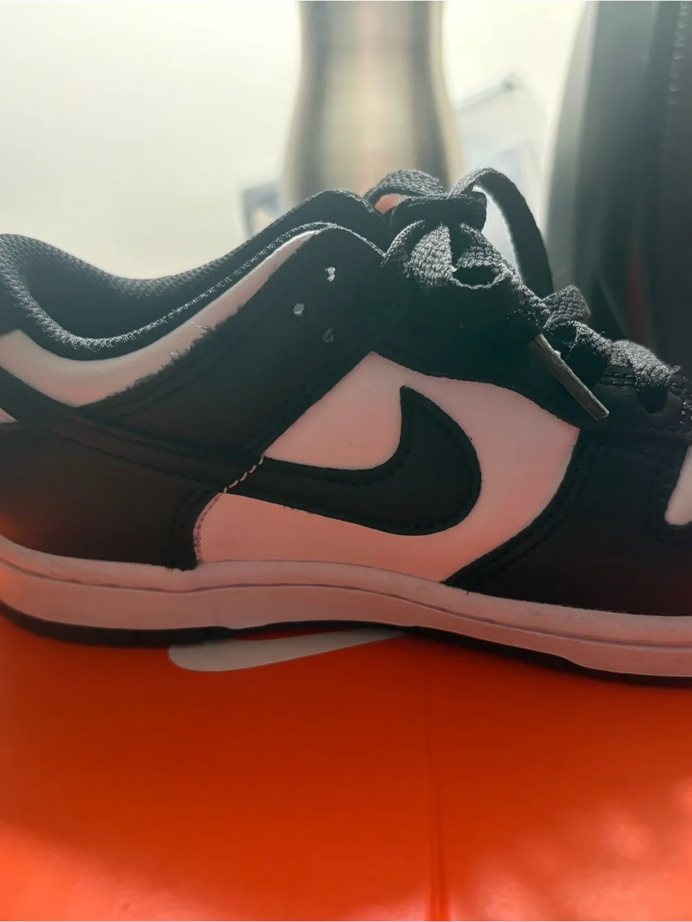 Nike Kids Black and White Low-Top Skate Sneaker